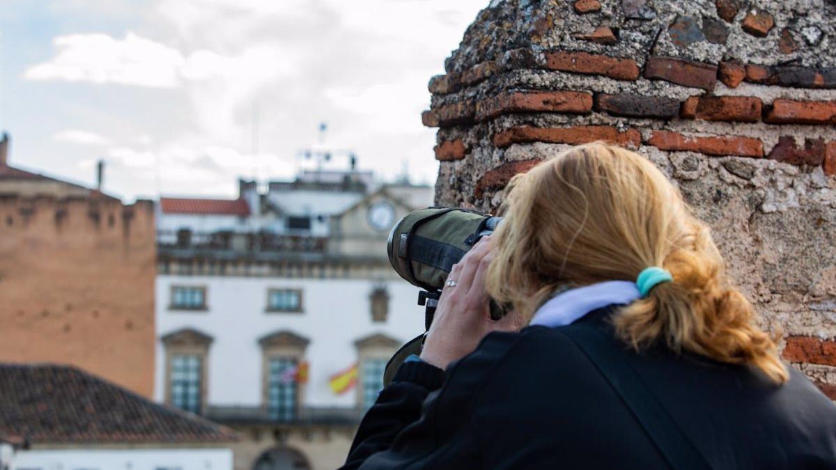 Una mujer avista aves en la Zepa Colonias de Cernícalo Primilla de Ciudad Monumental de Cáceres.