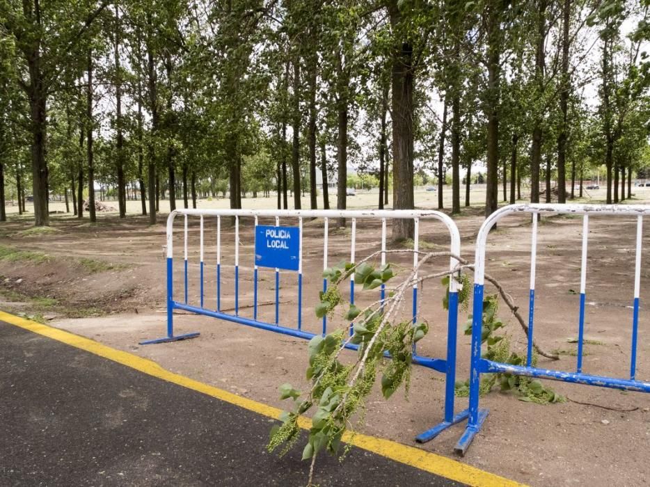 Incidentes por viento en Castilla y León