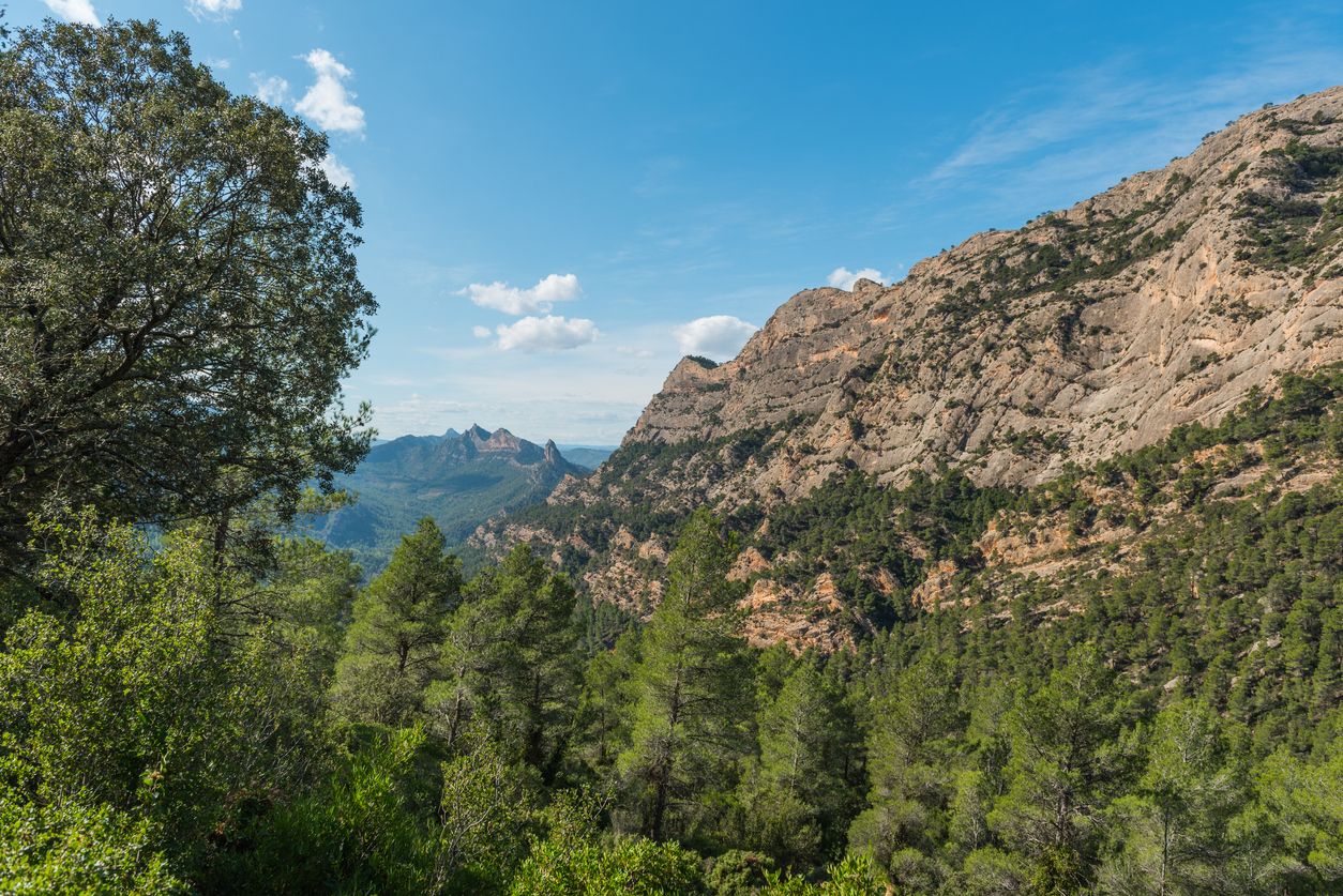 El paisaje que rodea La Fontcalda en Tarragona