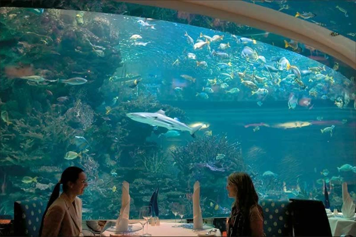 Acuario del restaurante submarino del hotel Burj Al Arab.