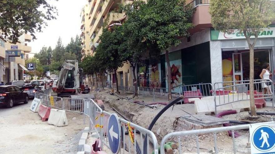 Imagen de los árboles que había en la avenida de Nabeul de Marbella y que han desaparecido durante las obras.