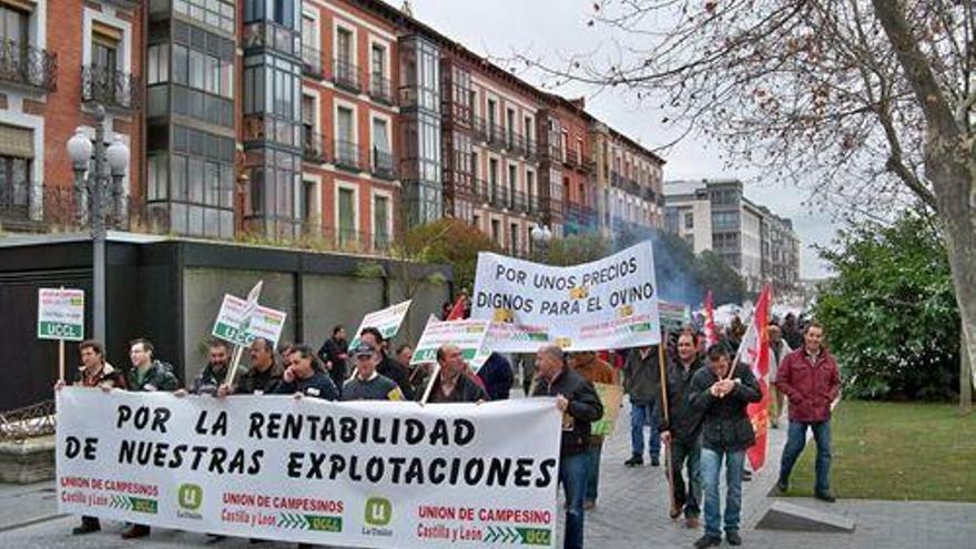 Manifestación de los ganaderos de ovino en Valladolid.