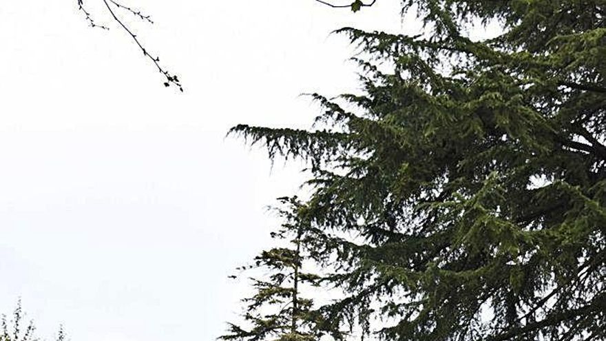 Permetrà salvar el desnivell, d&#039;uns 6 metres, entre els dos carrers