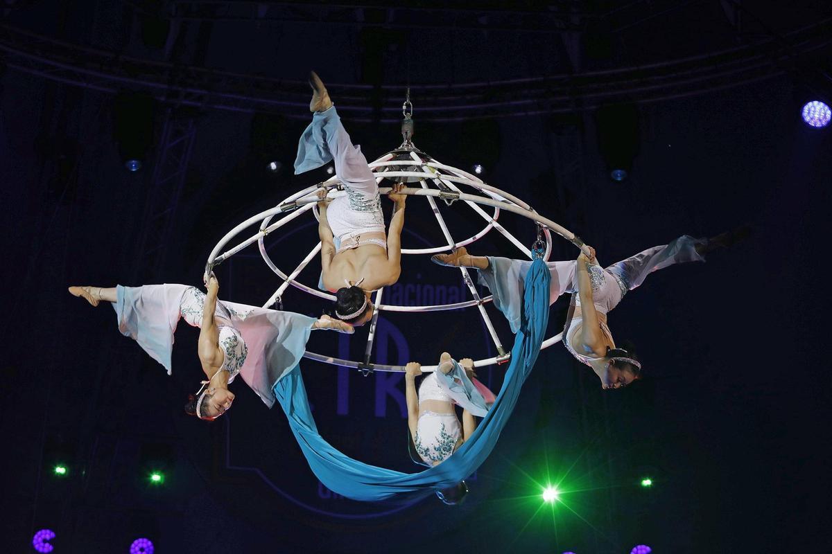 Algunos de los artistas que participan en el Festival Internacional del Circ Elefant d’Or