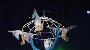 Algunos de los artistas que participan en el Festival Internacional del Circ Elefant d’Or