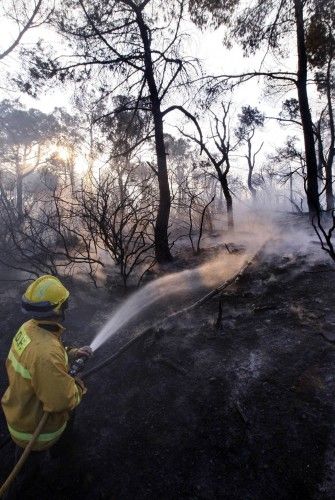 Incendi forestal a peu de les Gavarres