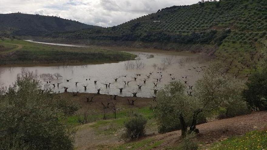 Reclaman un puente en el Arenoso para el paso de los agricultores