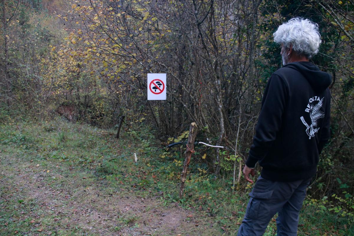 Una finca amb el cartell de prohibit collir bolets que ha posat un particular.