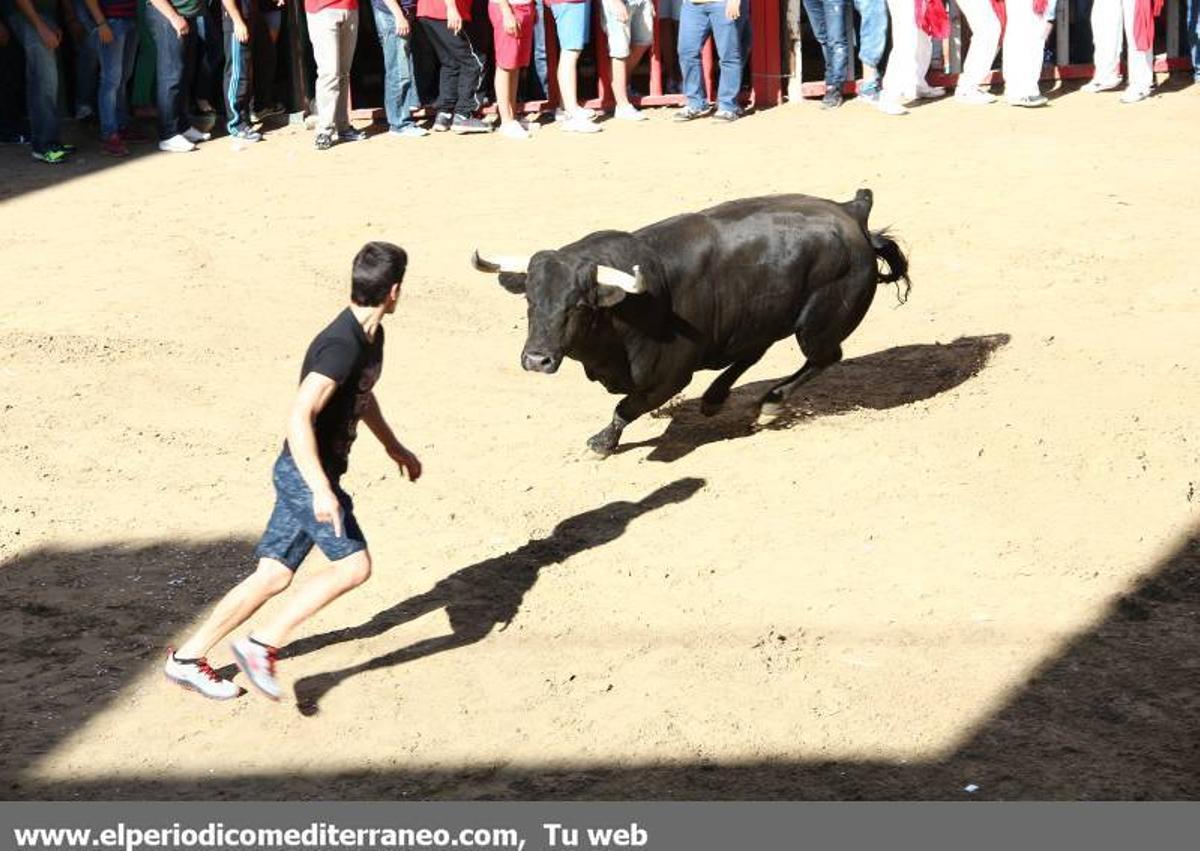 GALERÍA DE FOTOS -- Jornada dominical de Santa Quitèria en Almassora
