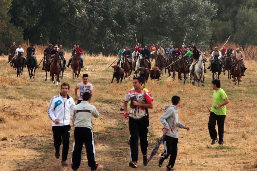 Encierro en San Miguel de la Ribera