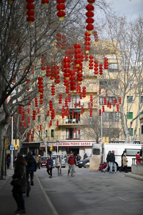 Celebración del Año Nuevo Chino en Pere Garau