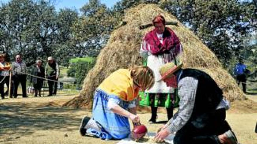 Cientos de personas reviven las tareas agrícolas