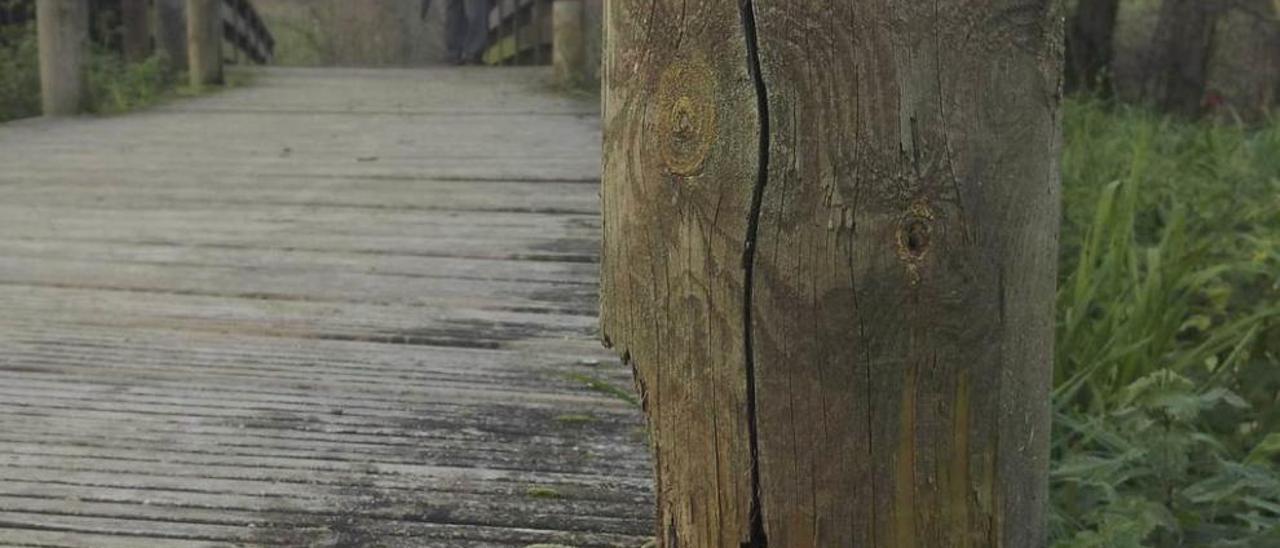 El suelo deteriorado de las pasarelas de madera de la senda fluvial.