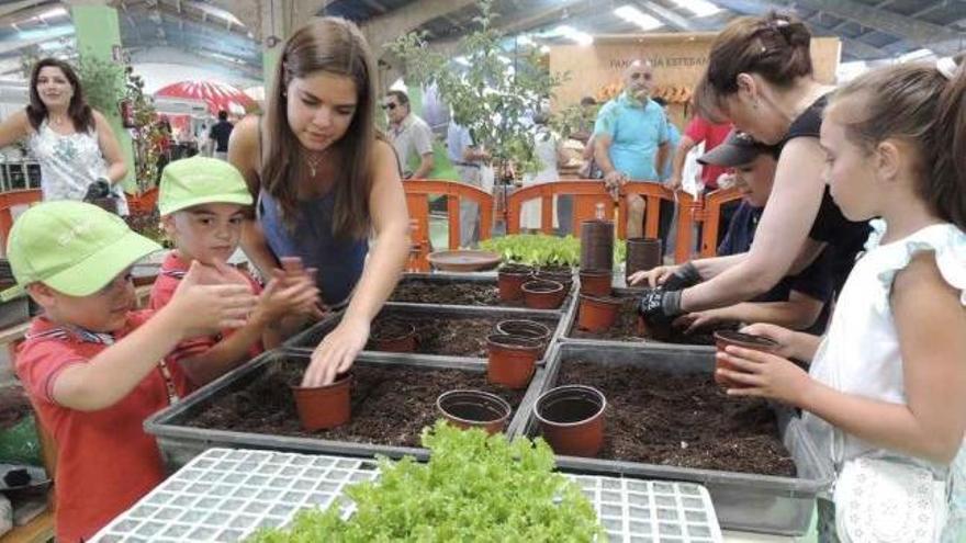 Niños aprenden a plantar escarolas.