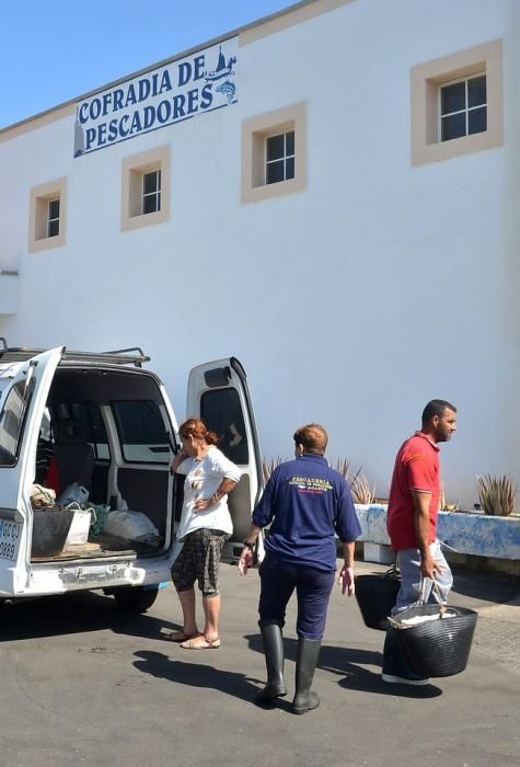 COFRADIAS PESCADORES AGAETE HERNANDEZ BENTO