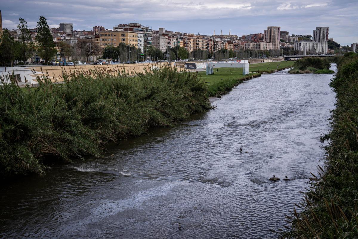 Barcelona 13/04/2026 Sociedad Estació de Tractament d'Aigua Potable (ETAP) del Besós. AUTOR: JORDI OTIX