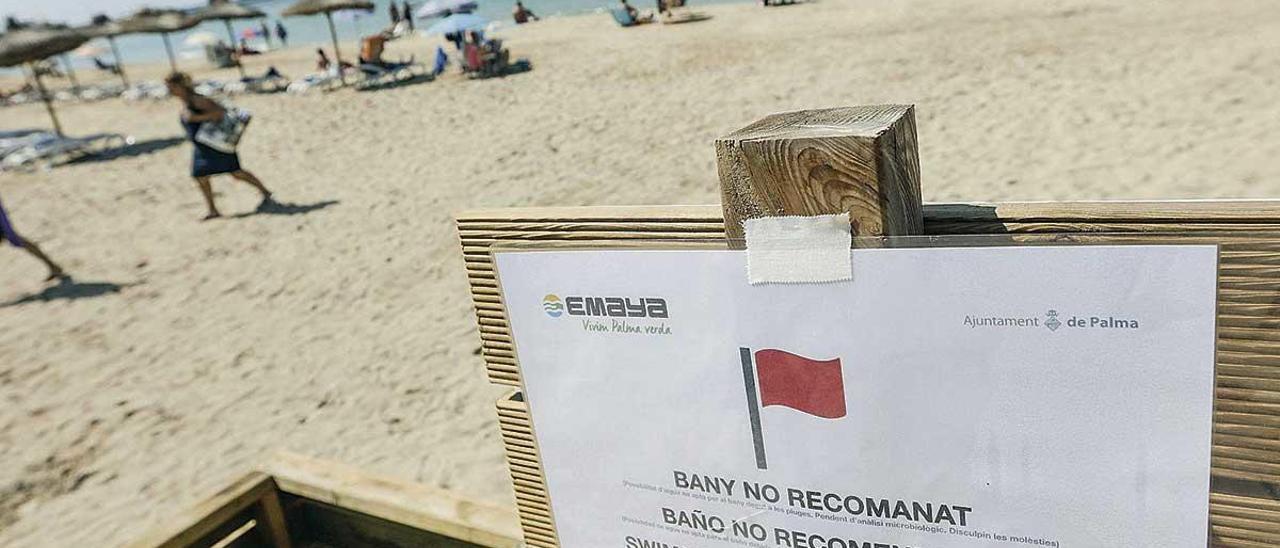Playas cerradas y bandera roja, una imagen habitual en los veranos de Palma y que fue especialmente reiterativa hace dos años cuando se presentó la denuncia.