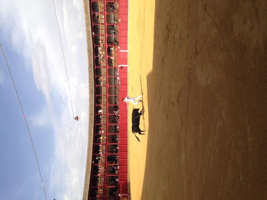 Fiestas Toro- concurso de jóvenes cortadores