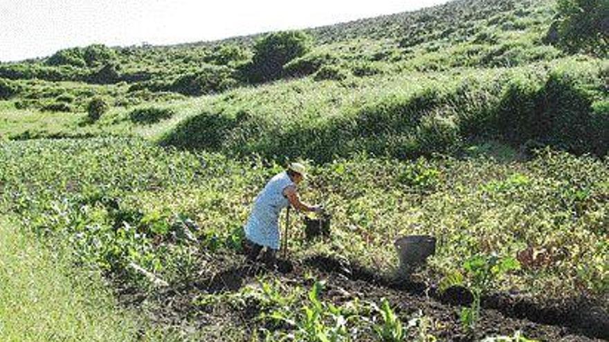 Los vecinos de Ons reclaman la propiedad de sus viviendas y de los terrenos que trabajan como huertas. / D.G.P.