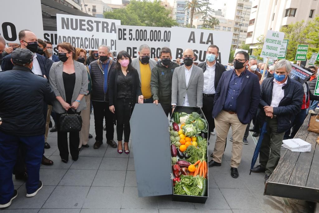 Los agricultores de la provincia se concentran en Alicante contra los recortes del Tajo-Segura