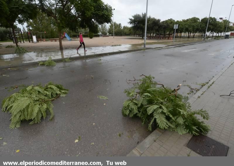 GALERÍA DE FOTOS -- Efectos de las tormentas en la provincia