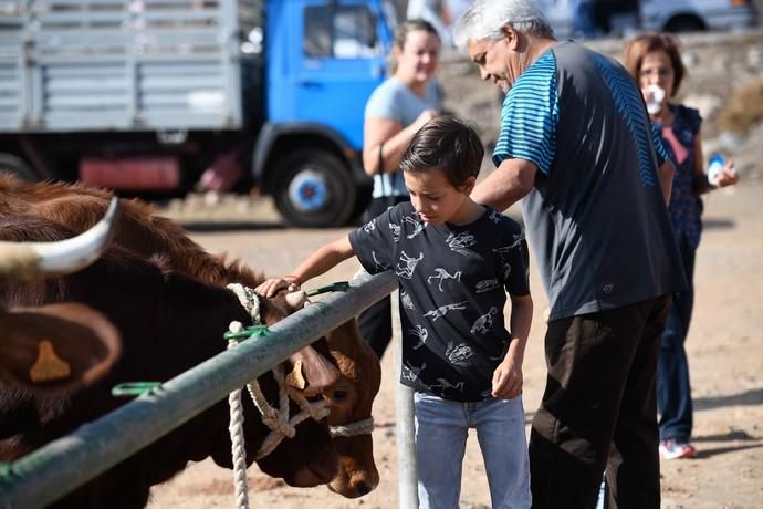 FIESTA DE SAN GREGORIO TELDE