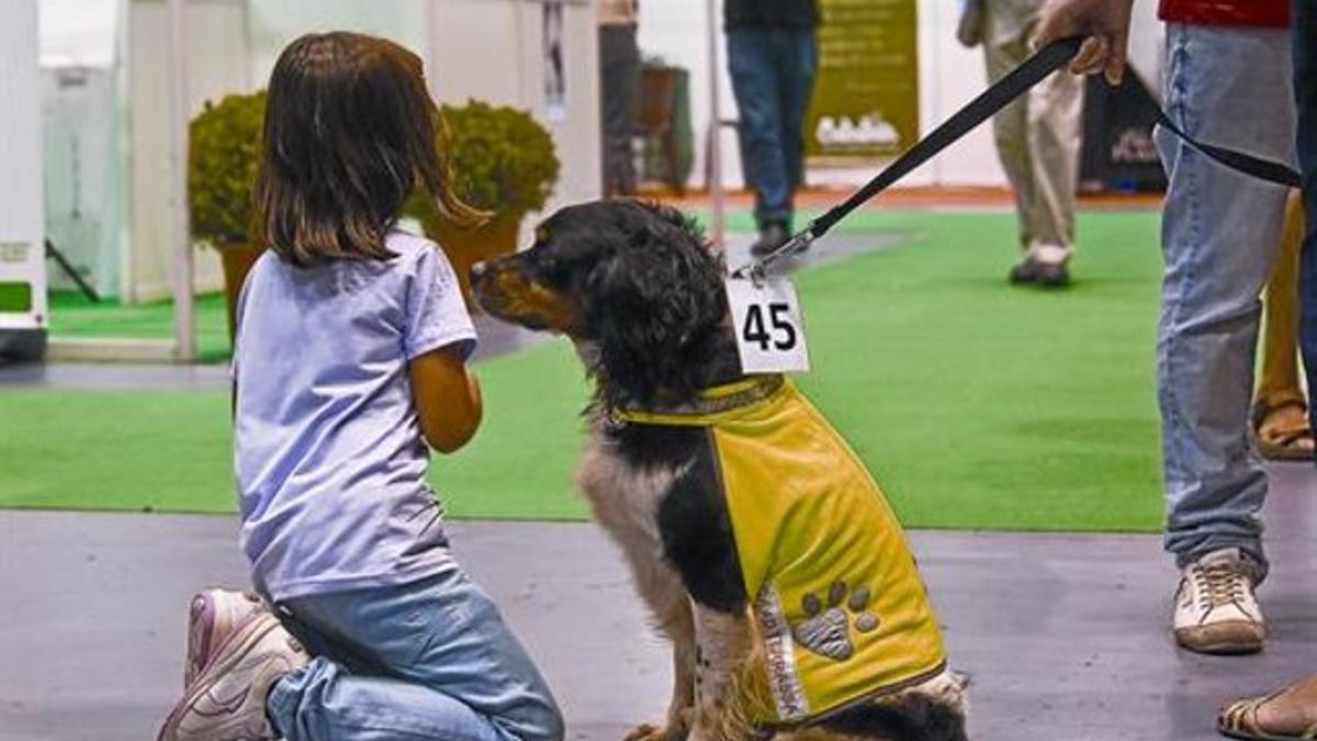 Una niña juega con un perro en adopción, en la última edición de la feria Animaladda, celebrada el mes pasado en el Palau Sant Jordi.
