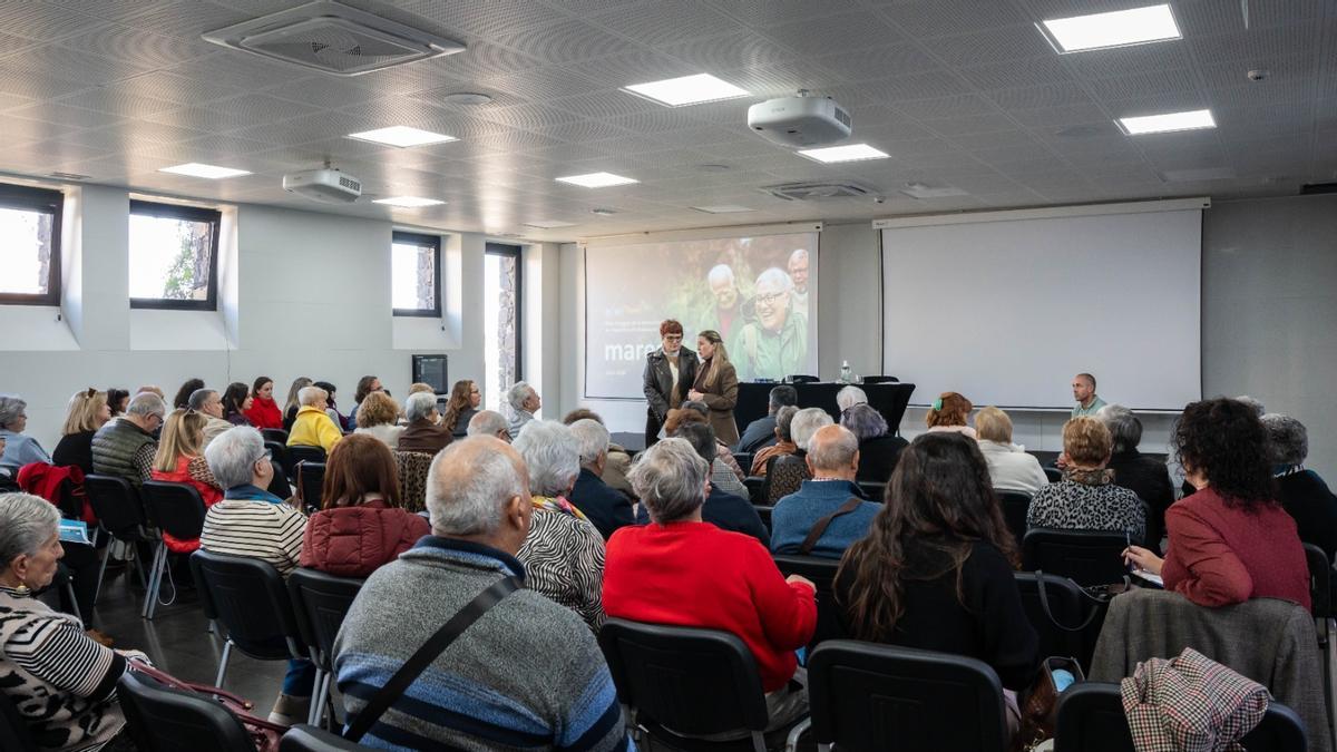 Los representantes de los distintos centros de día de la provincia tinerfeña en la junta celebrada ayer.