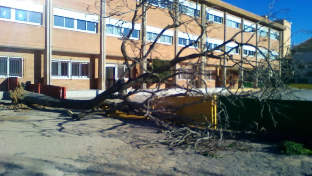 Destrozos del viento en Sagunt