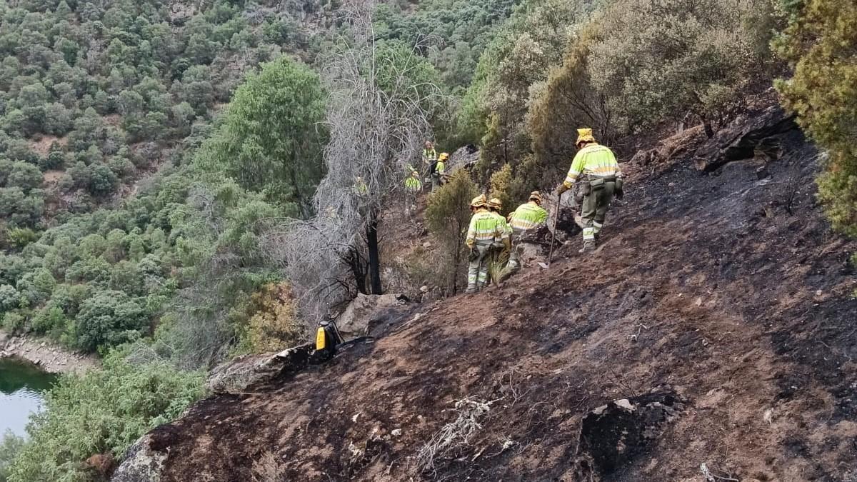 Bomberos forestales trabajan en uno de los puntos calientes del incendio de Fermoselle.