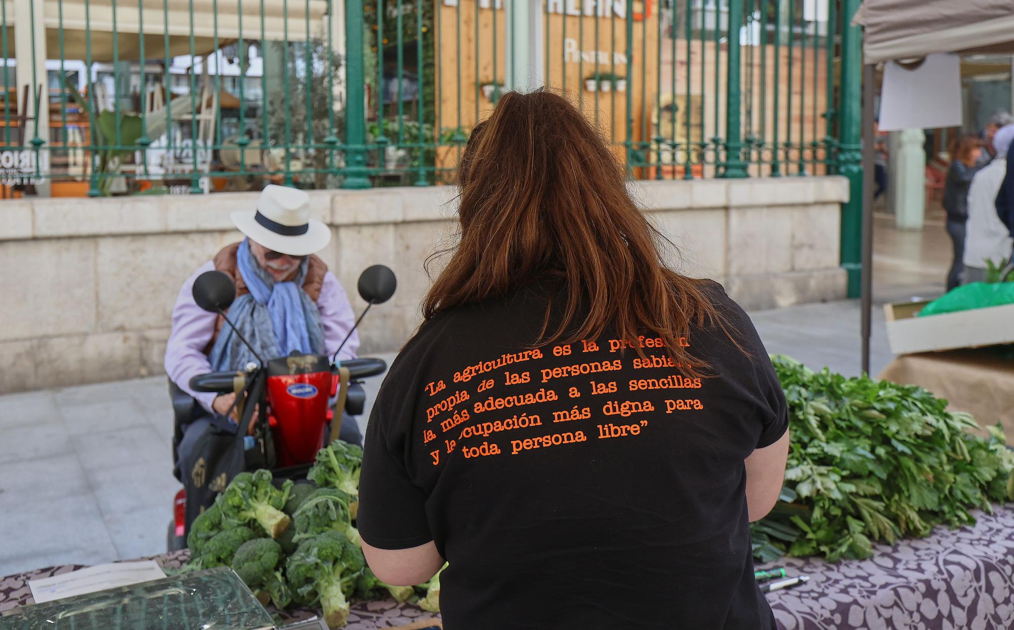 Mercadillo de frutas y verduras de huerta junto al mercado de Colón