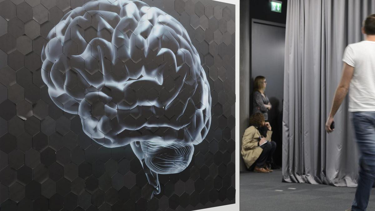 Imagen de un cerebro humano en la presentación de un proyecto de investigación en Ginebra.