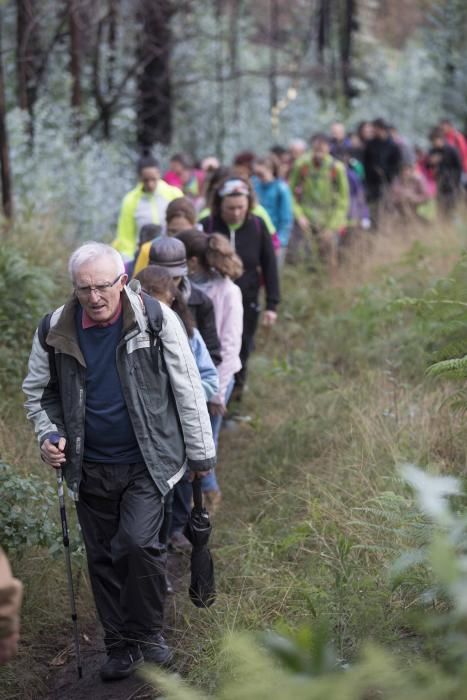 Más de medio millar de personas se citaron esta mañana en Coruxo para recorrer la zona quemada en octubre de 2017.