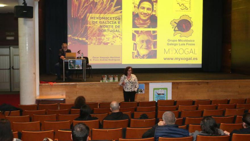 La apertura de las Xornadas Micolóxicas de Liboreiro del año pasado, en el auditorio del Centro Social do Mar. |  Santos Álvarez