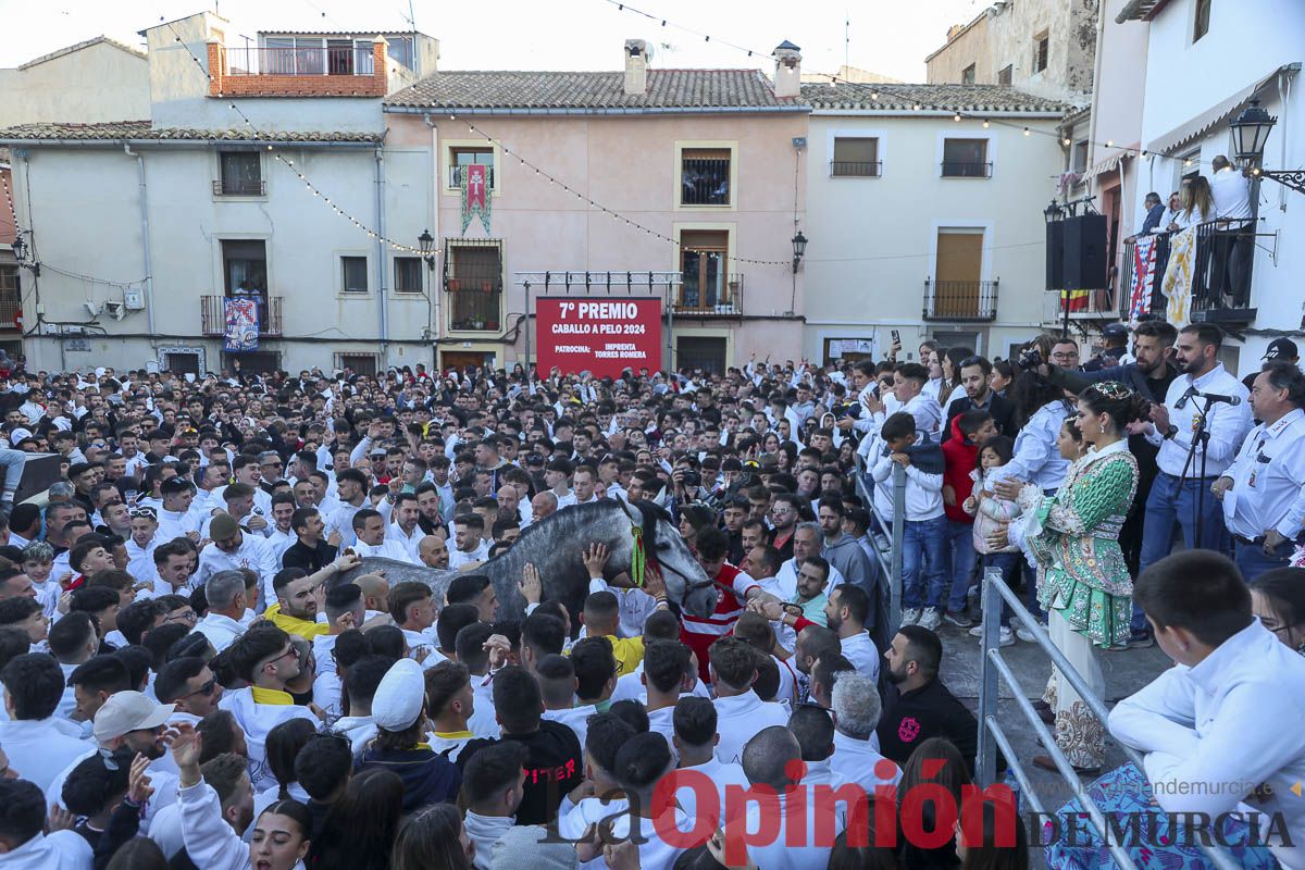 Entrega de premios del concurso de 'Caballo a pelo' en Caravaca