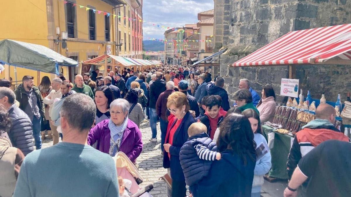 Ambiente en una edición anterior del Certamen de Quesos Artesanos de Asturias en Salas.