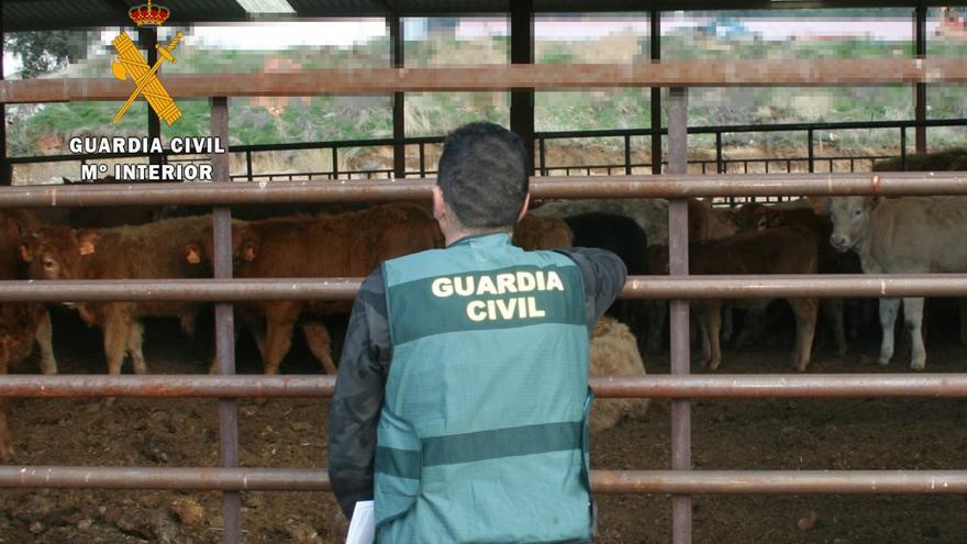 La Guardia Civil de Zamora investiga a una persona por hacerse pasar por propietario de un matadero