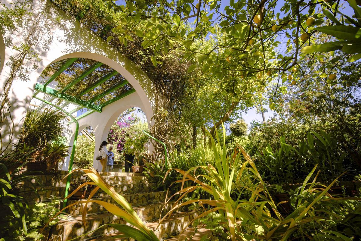 Vista de la terraza de la casa, en la parte más alta del jardín de Jeannine Cook
