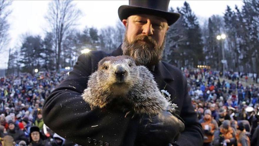 La marmota Phil ha hablado: la primavera llegará pronto