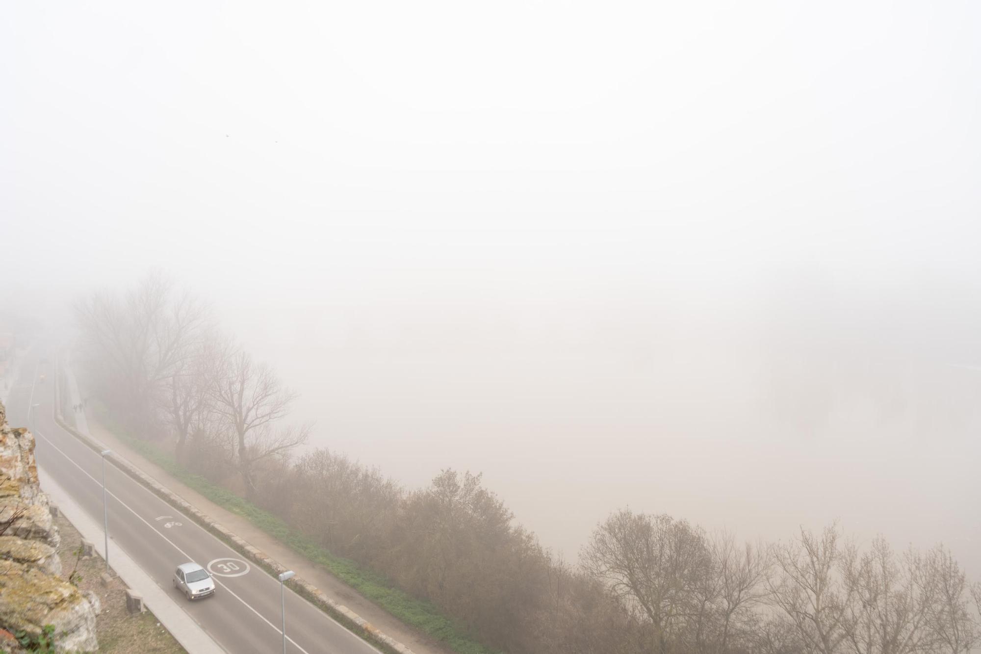 Las mejores imágenes que ha dejado la niebla de hoy en Zamora