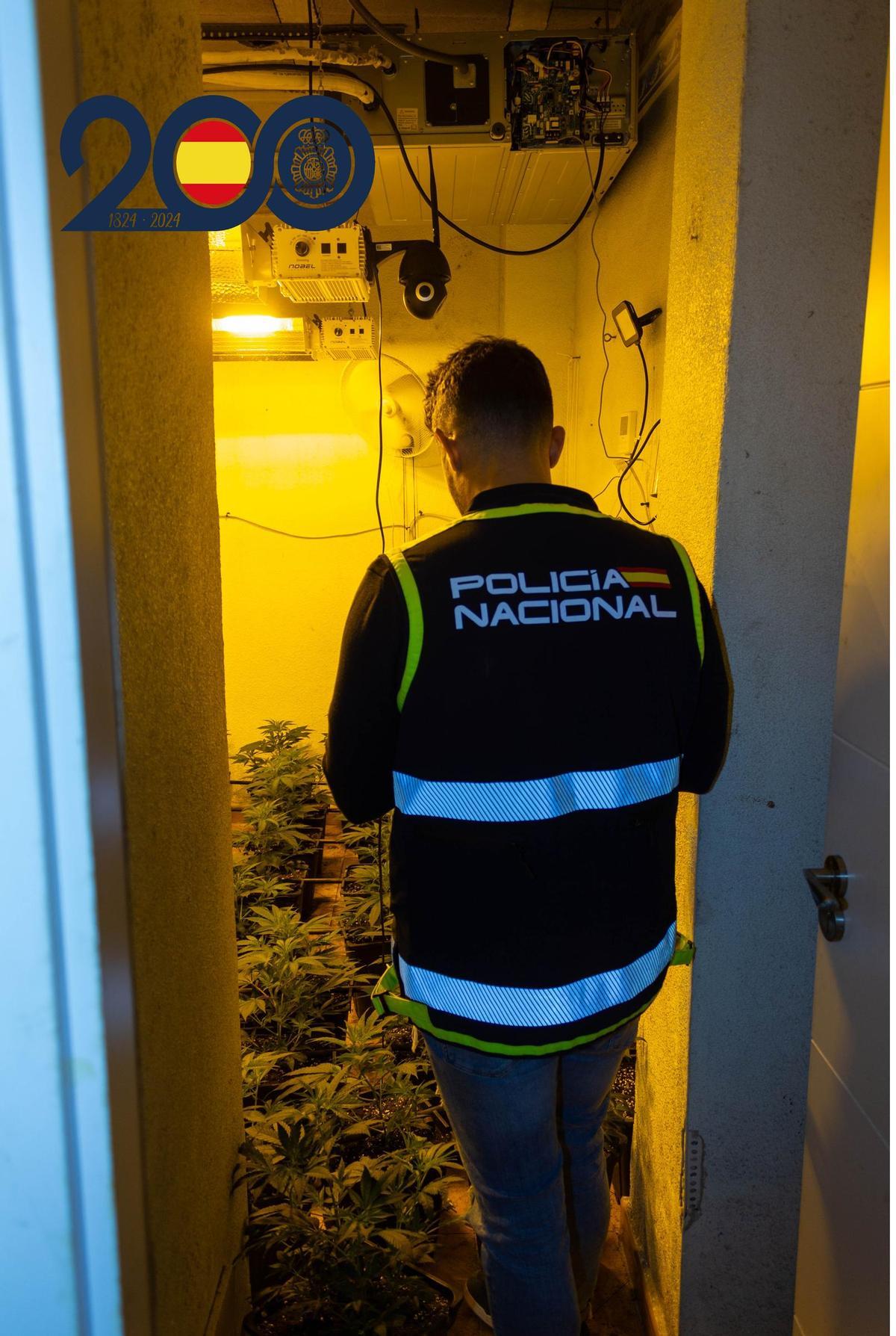 La Policía Nacional desmantela dos plantaciones indoor de marihuana y detiene a seis personas.