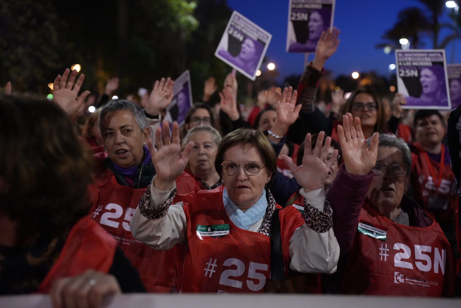 Manifestación por el 25N en Córdoba