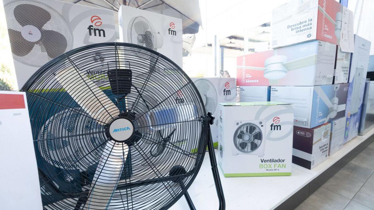 Varios ventiladores de suelo en CB Electric. | VICENT MARÍ