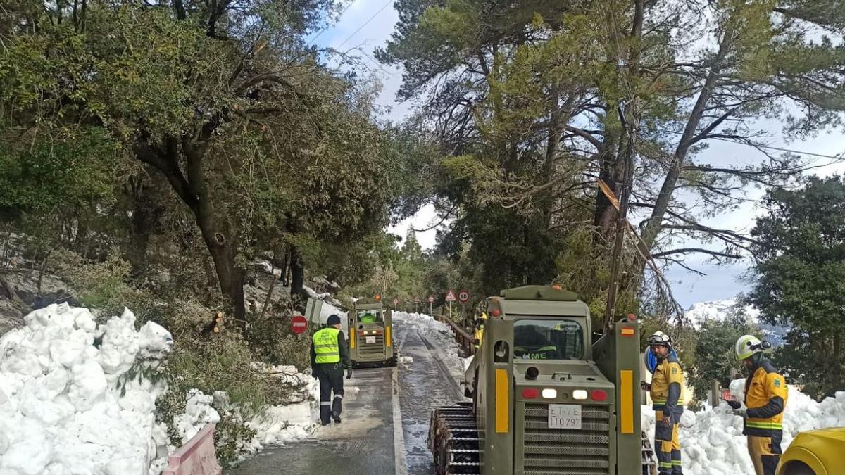 VÍDEO | Nieve en Mallorca: Así trabaja el quitanieves en la carretera de Puigpunyent a Esporles