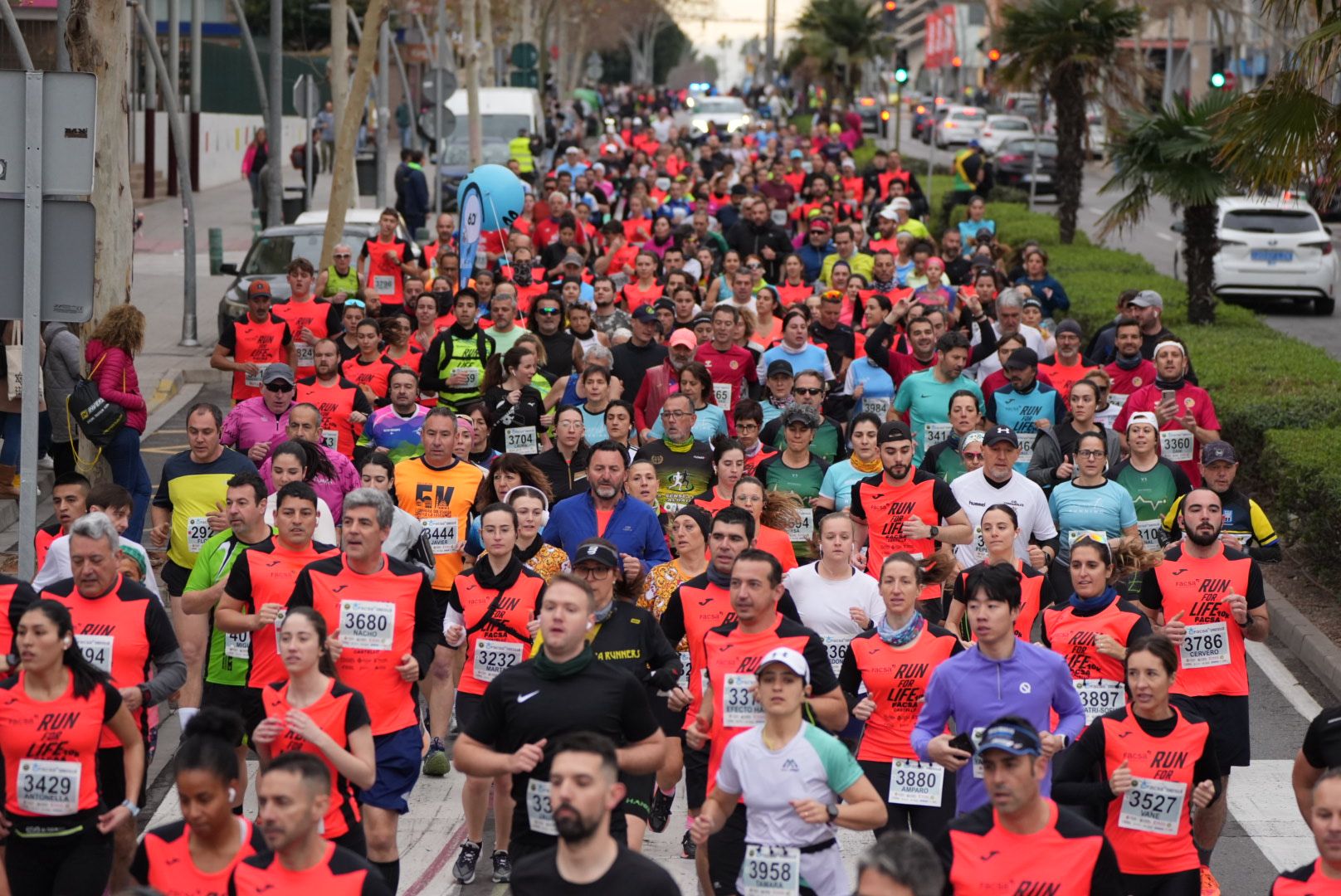 Búscate en las fotos: Las mejores imágenes del Marató bp y el 10K Facsa 2024 de Castelló