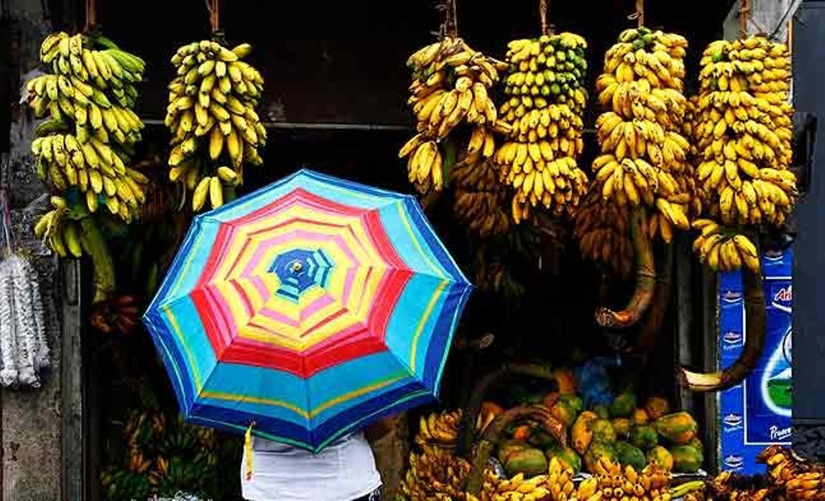 Una dona singalesa compra plàtans en una parada de Colombo (Sri Lanka).