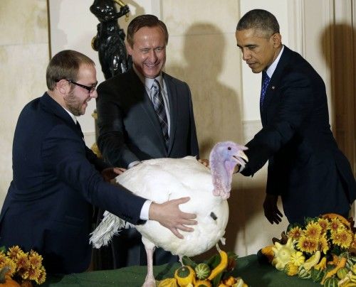 Todos los años como es tradición en acción de gracias, el presidente de Estados Unidos indulta a un pavo que se salva de ser plato principal en la cena, este es conocido como “Cheese” (queso) en la Casa Blanca. 26 de noviembre de 2014.