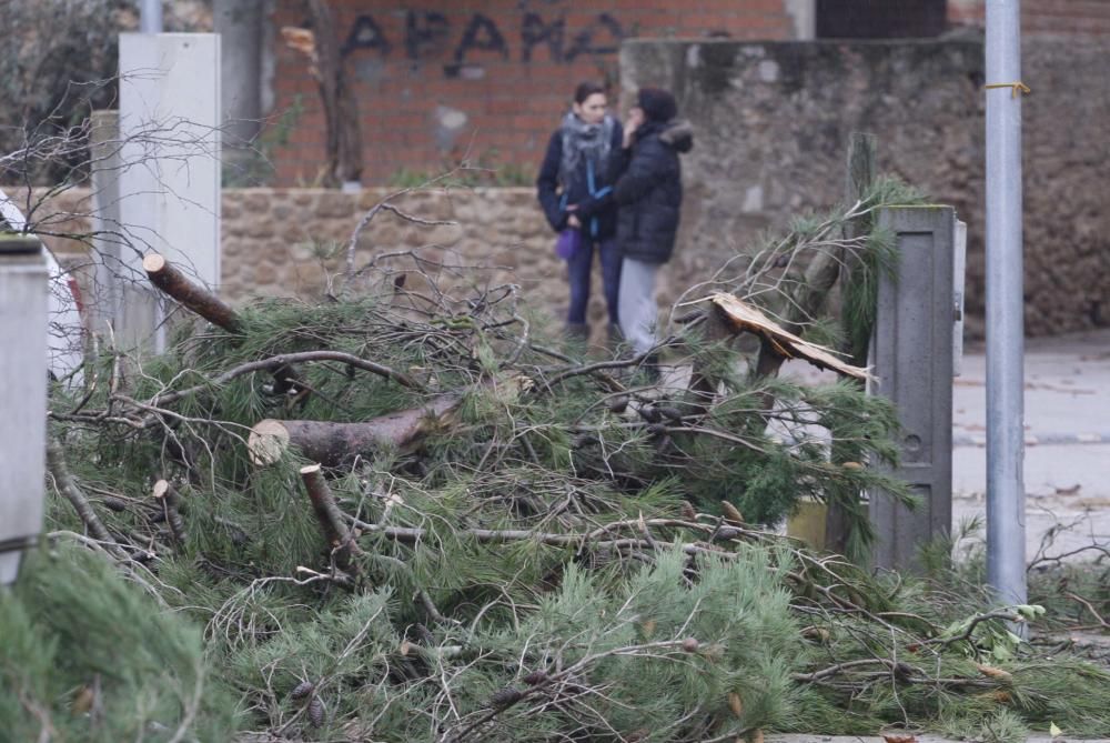 Un tornado deixa danys en cases, naus i vehicles a Cistella