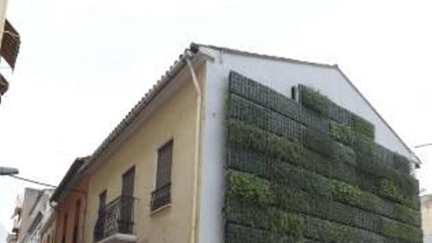 Un jardín vertical ya luce en el Solar de Quevedo.