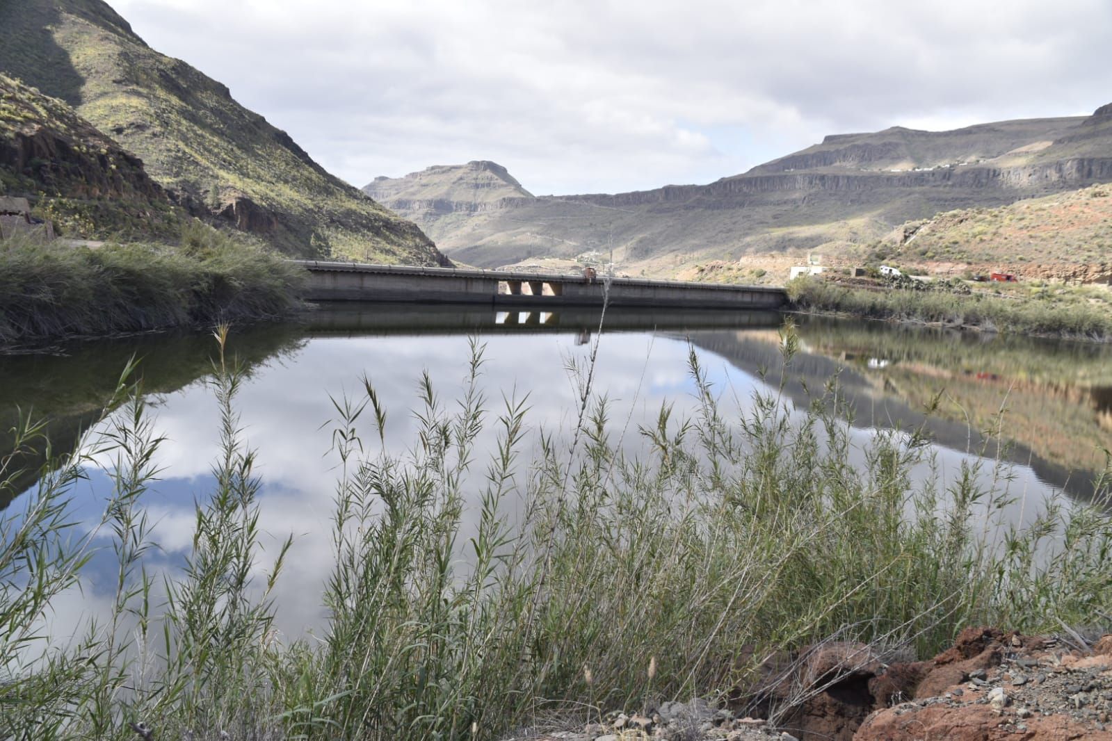 La primavera en Gran Canaria